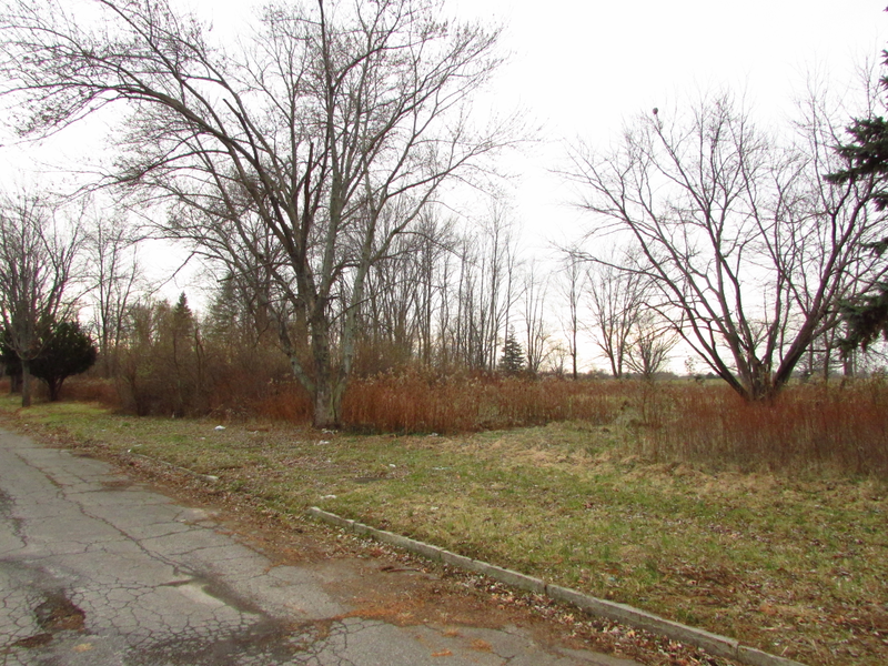 Illustration for article titled Me and the Subaru Visited Love Canal Today